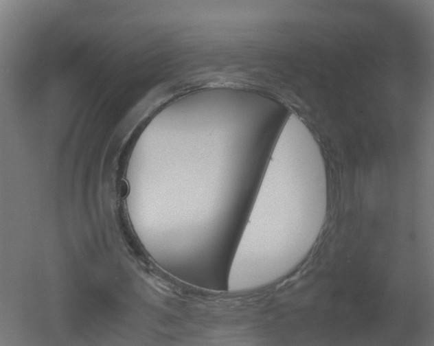 X0000051870291200506241035