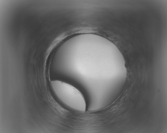 X0000051870296200506241035