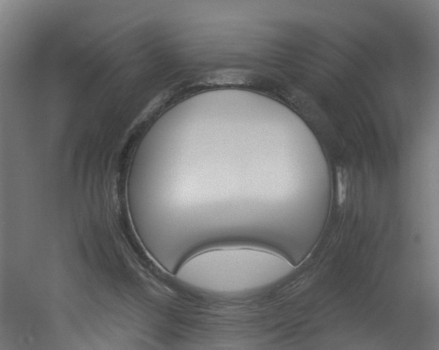 X0000051870300200506241035