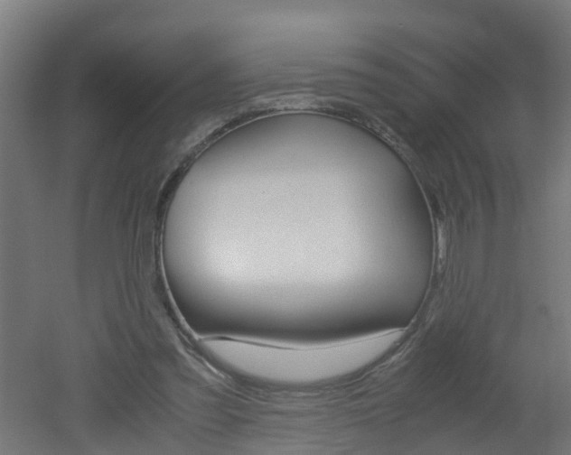 X0000051870301200506241035