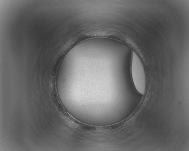 X0000051870305200506241035