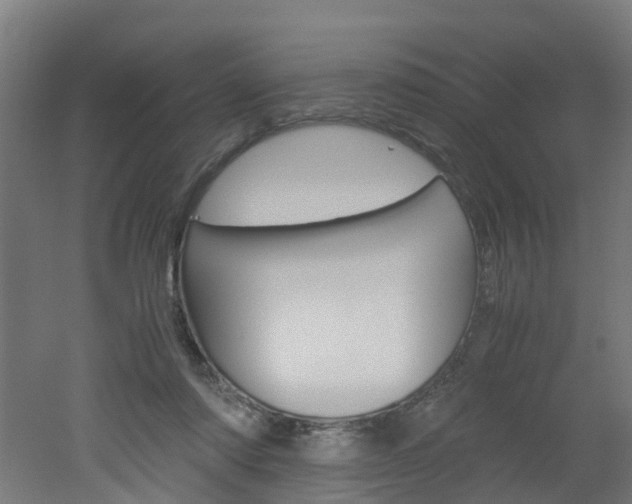 X0000051870310200506241035