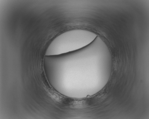 X0000051870314200506241035