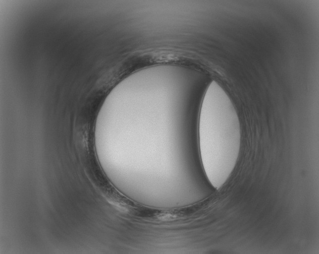 X0000051870315200506241035