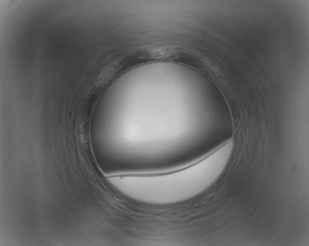 X0000051870317200506241035