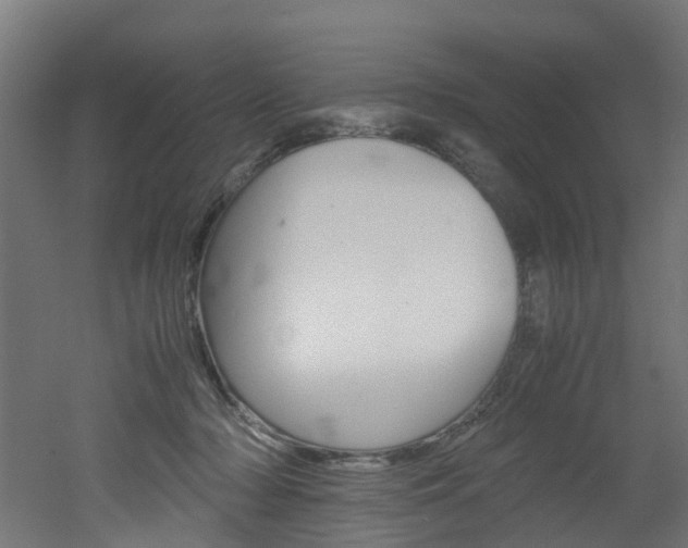 X0000051870318200506241035