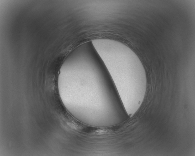 X0000051870323200506241035