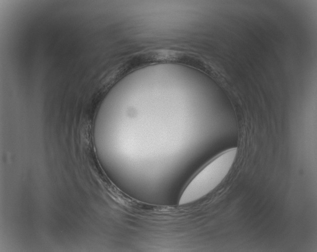 X0000051870325200506241035