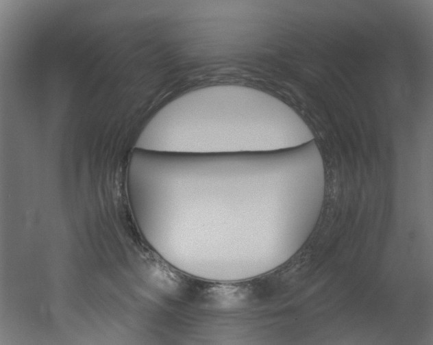 X0000051870326200506241035