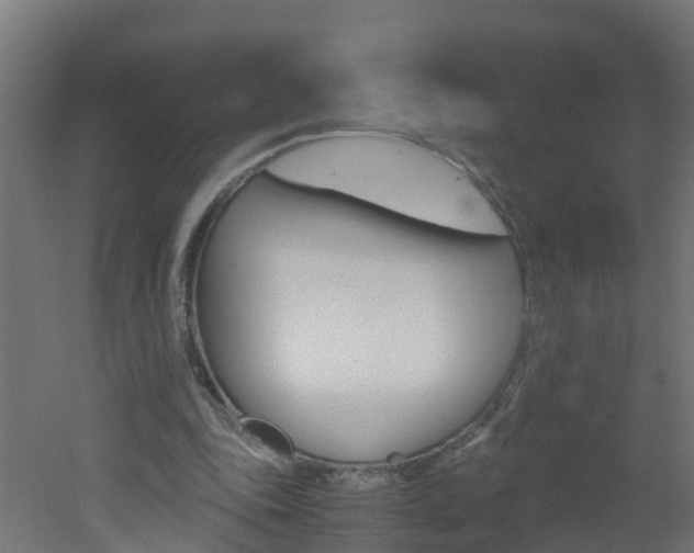 X0000051870343200506241034