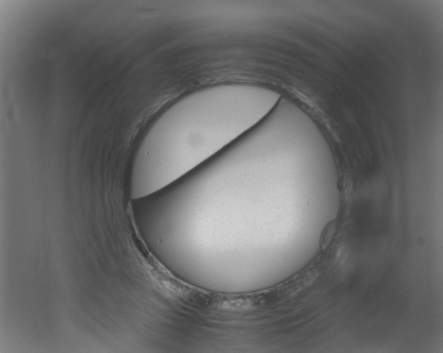 X0000051870353200506241034