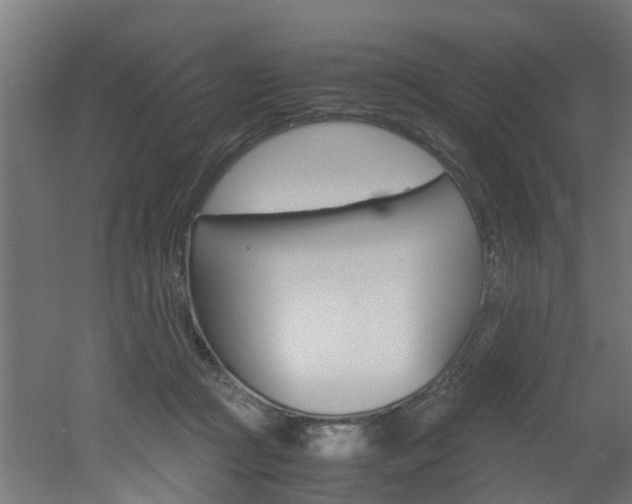 X0000051870361200506241034