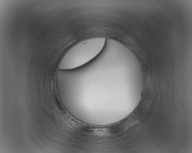 X0000051870363200506241034