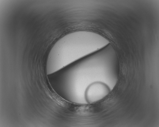 X0000051870366200506241034