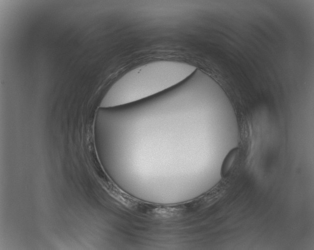 X0000051870367200506241034