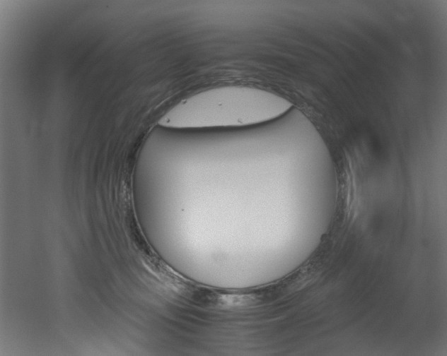 X0000051870371200506241034