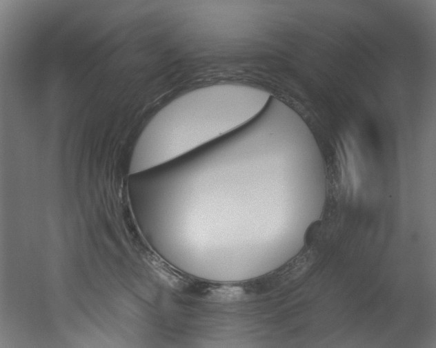 X0000051870374200506241034