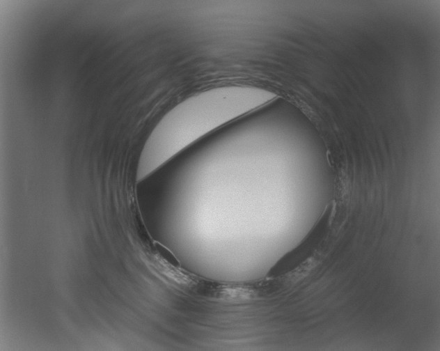 X0000051870376200506241034
