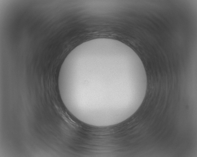 X0000051870380200506241034