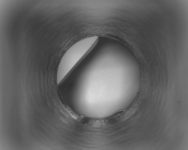 X0000051870384200506241035