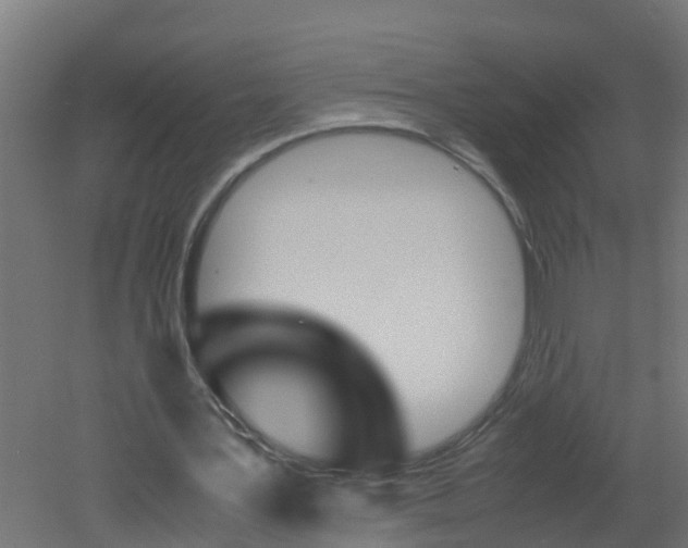 X0000051870387200506241034