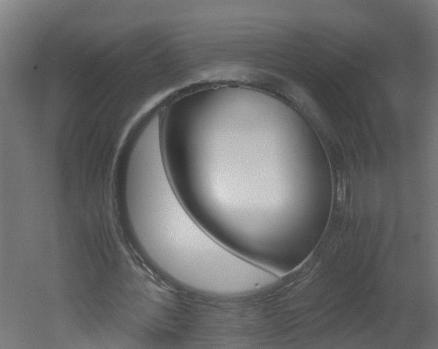 X0000051870388200506241034