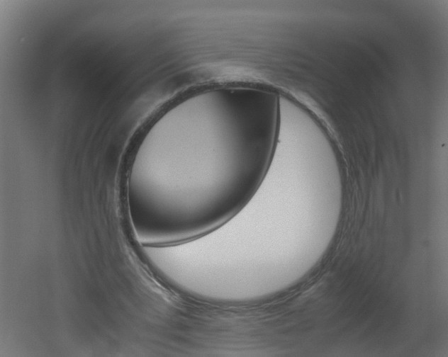 X0000051870391200506241034