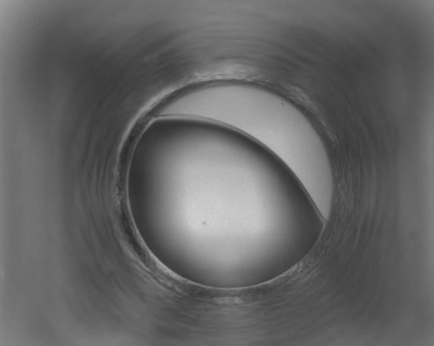 X0000051870392200506241034