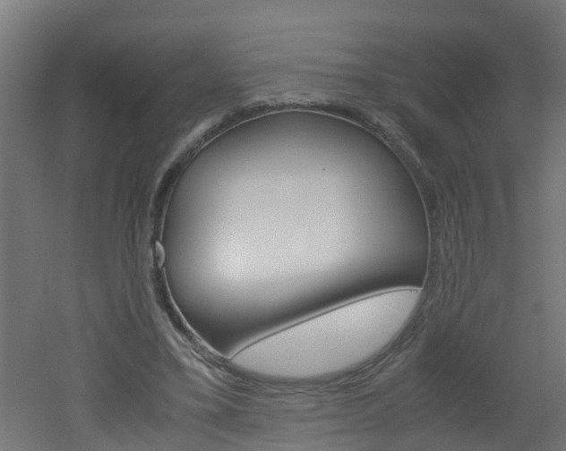 X0000051870395200506241034