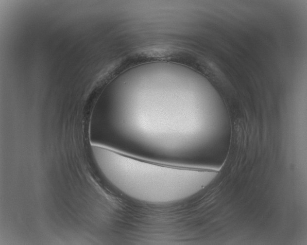 X0000051870404200506241033