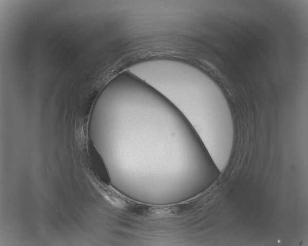 X0000051870405200506241033