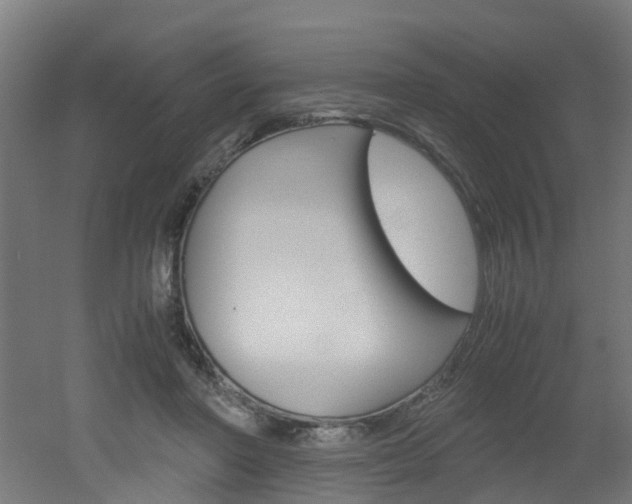 X0000051870406200506241033