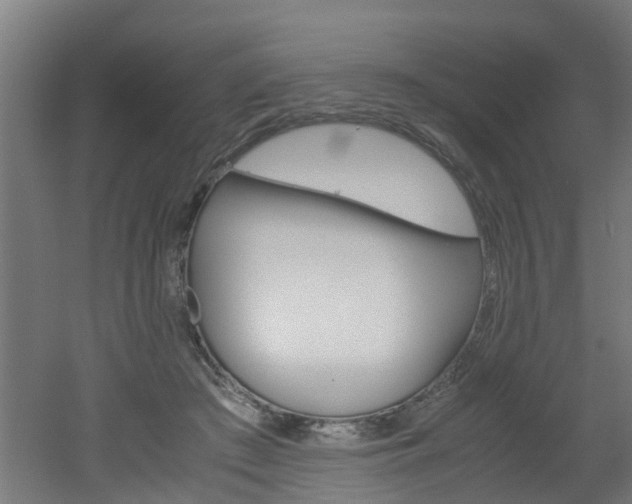 X0000051870409200506241033