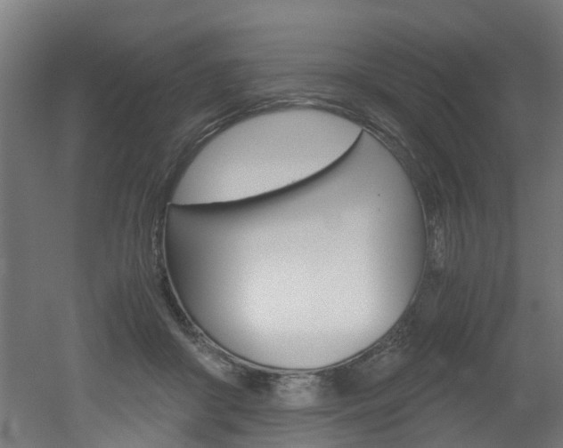 X0000051870410200506241033