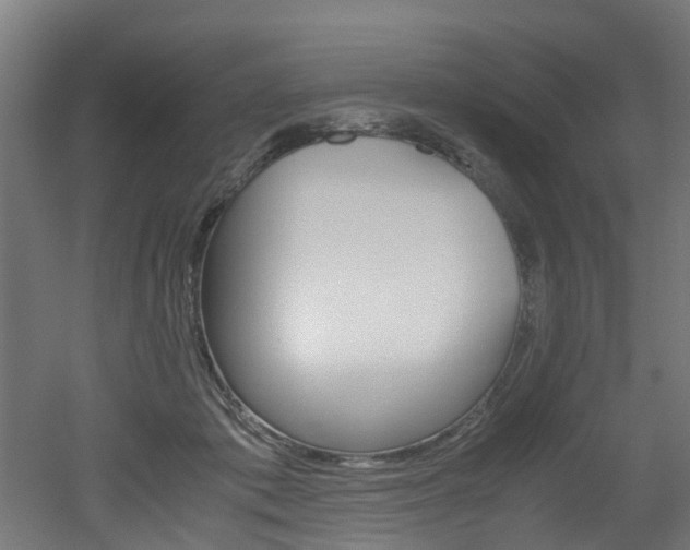 X0000051870413200506241033