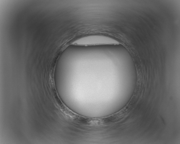 X0000051870415200506241033
