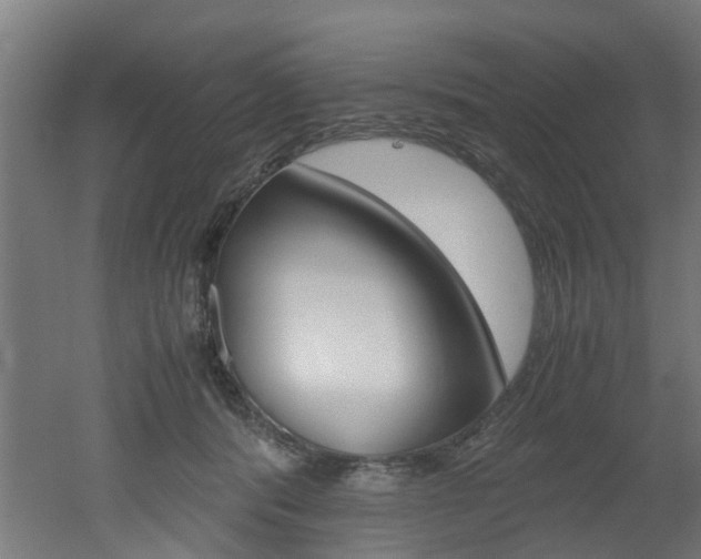 X0000051870416200506241033