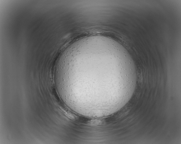 X0000051870418200506241033