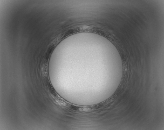 X0000051870419200506241033