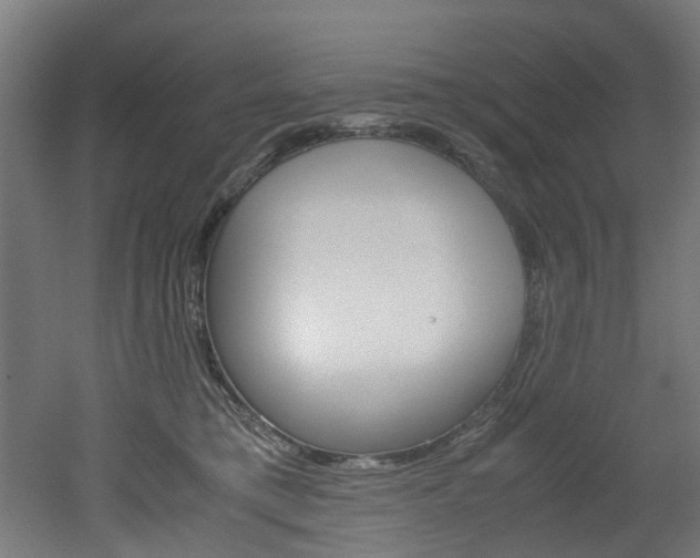 X0000051870421200506241033