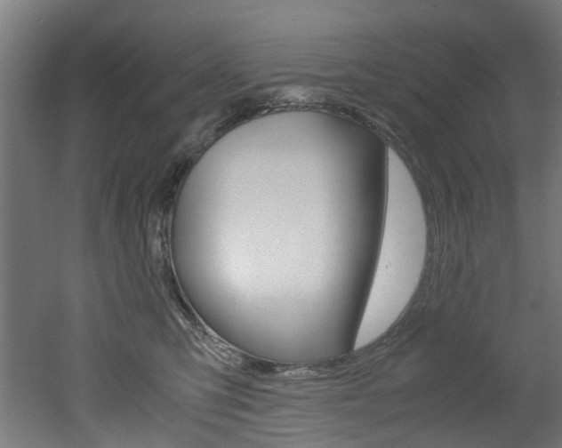 X0000051870423200506241033