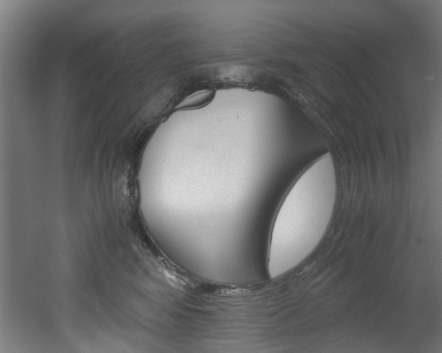 X0000051870424200506241033