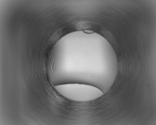 X0000051870426200506241033