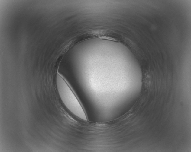 X0000051870428200506241033