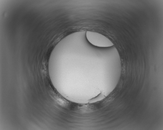 X0000051870430200506241033