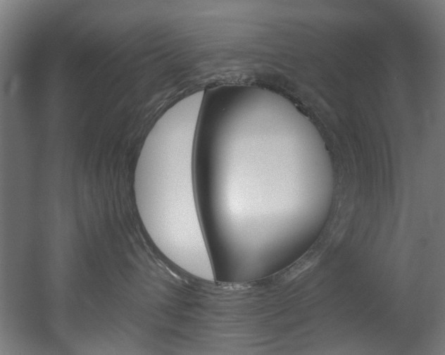 X0000051870432200506241033