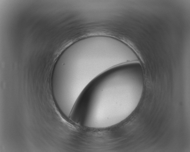 X0000051870433200506241032