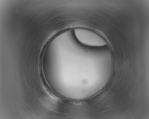 X0000051870439200506241032
