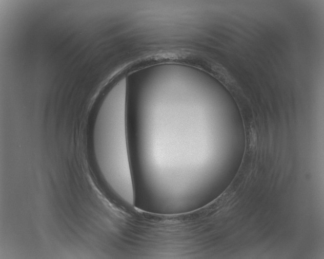 X0000051870444200506241032