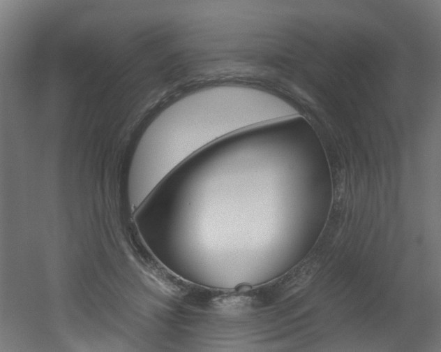 X0000051870452200506241032